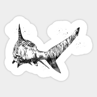 Shark Sticker